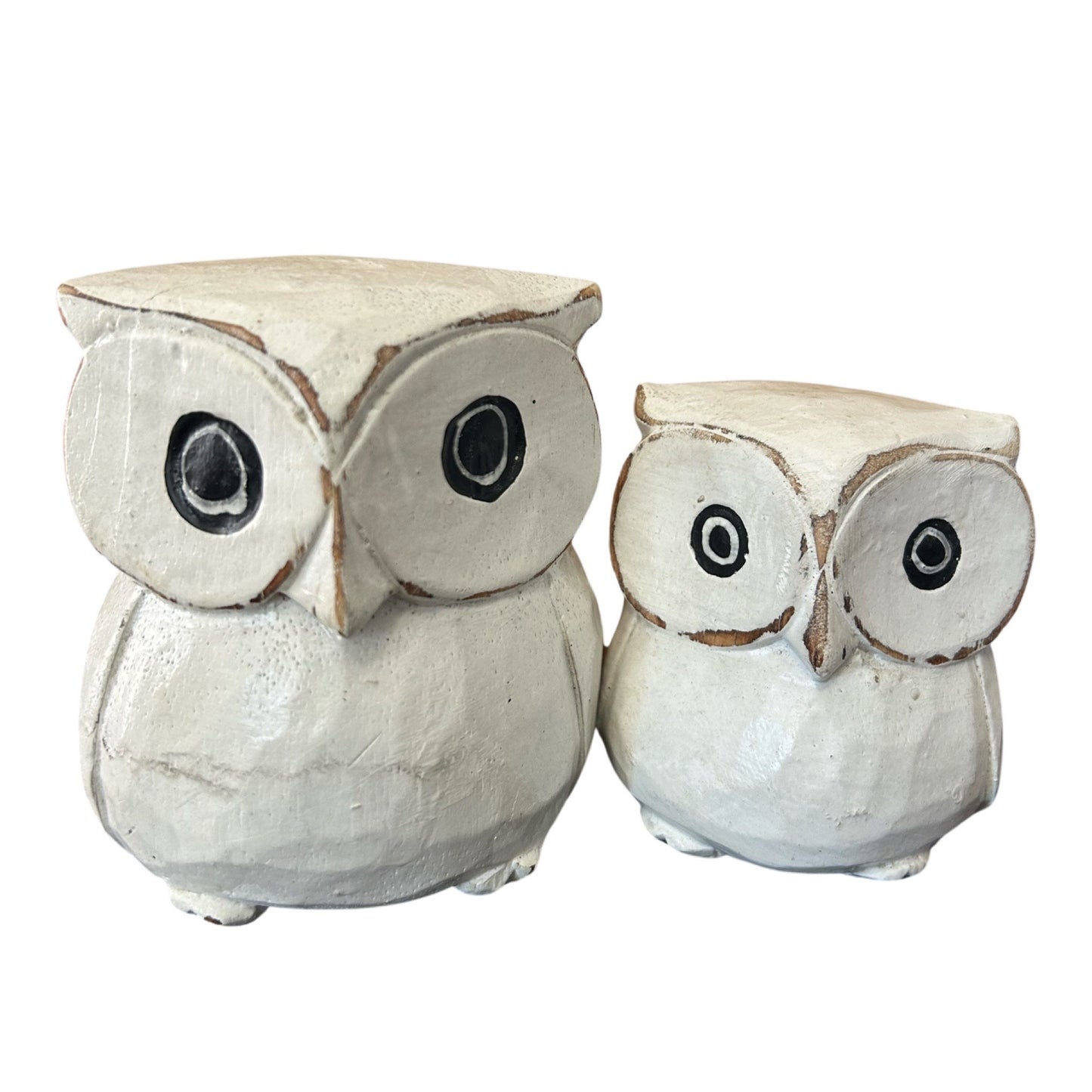 Pair of Owls